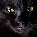  , --, 34  -  2  2024    