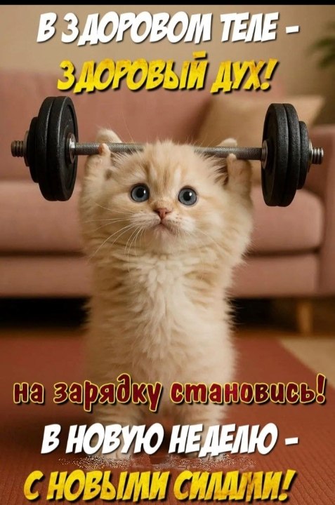 ��� ���� - 25 ��� 2026 � 10:28