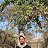 ���� Imran Khan, �����������, 23 ���� - ��������� 11 ����� 2026
