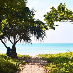 �����, ������, 37 ���