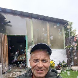 , 41, 