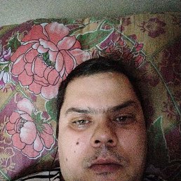 ����, 36 ���, �������