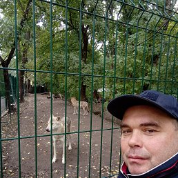 ������ ������������, 43 ����, ������