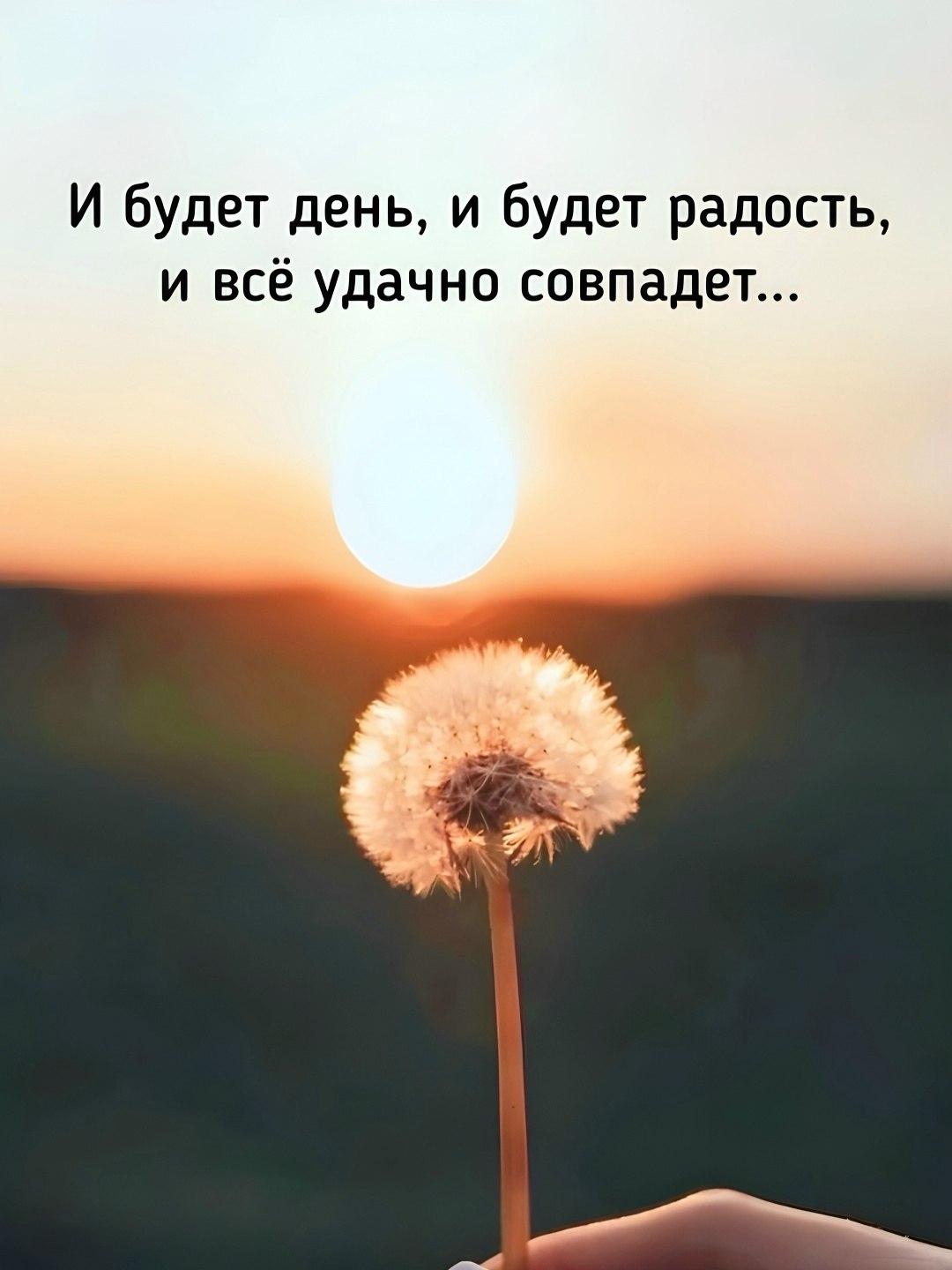  - 17  2025  06:19