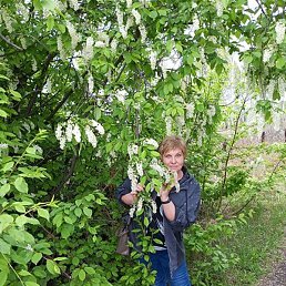 �����, ����, 60 ���