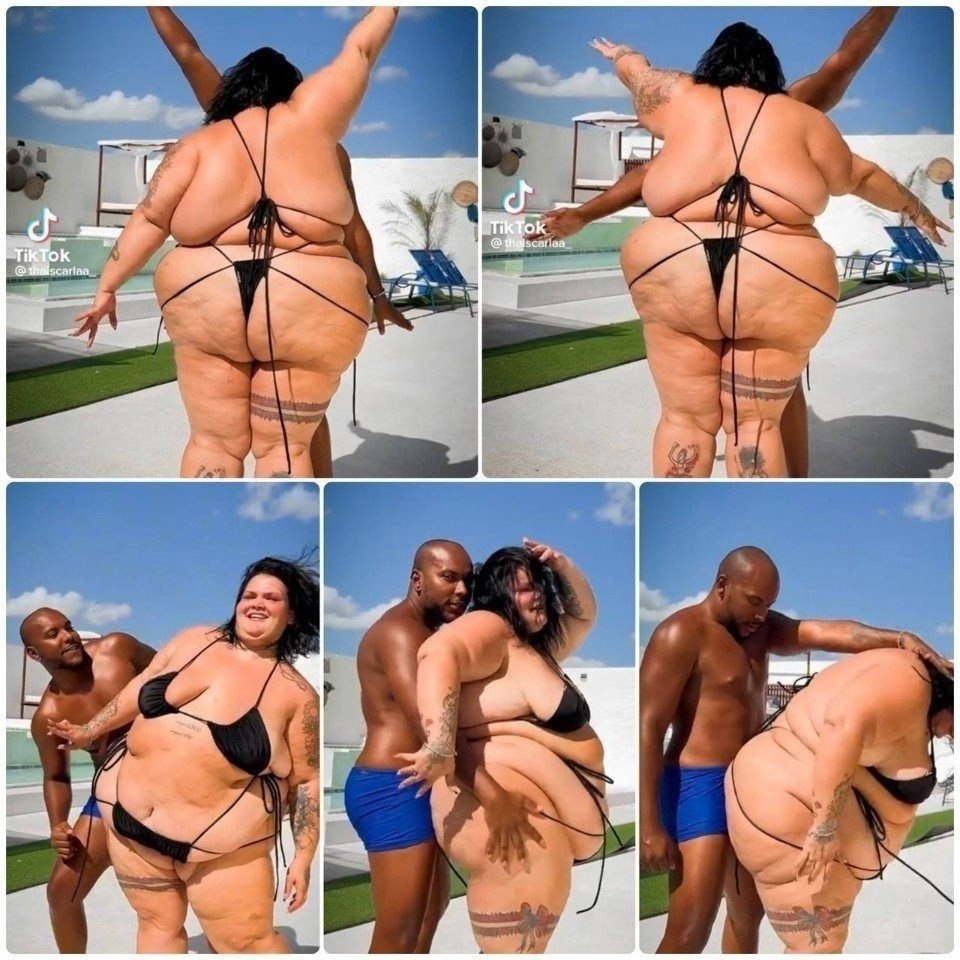  ,    ... 