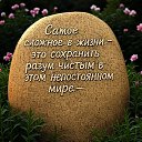 ���� �������, ��������, 41 ��� - ��������� 25 ������� 2026 � ������ ������ ��������