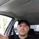 ���� �������, ������, 49 ��� - ��������� 13 ������� 2026 � ������ ���� ����������