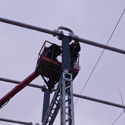 ���, ������, 43 ����