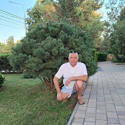 , 54, 