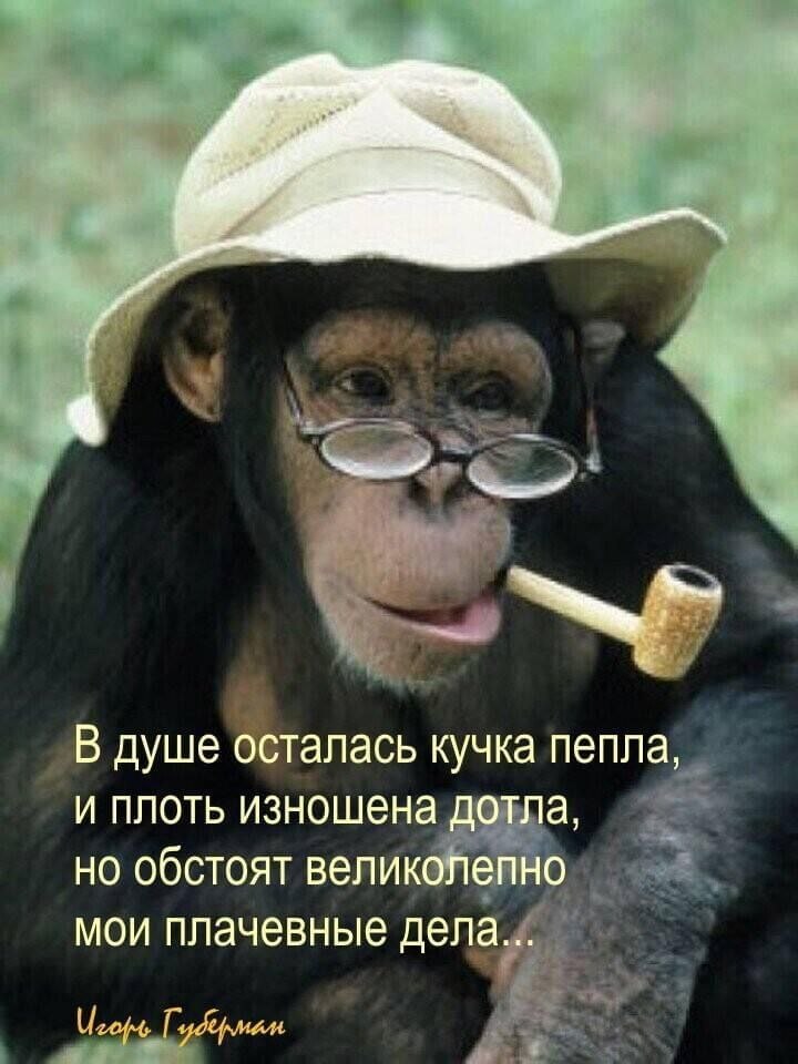   - 17  2024  17:41