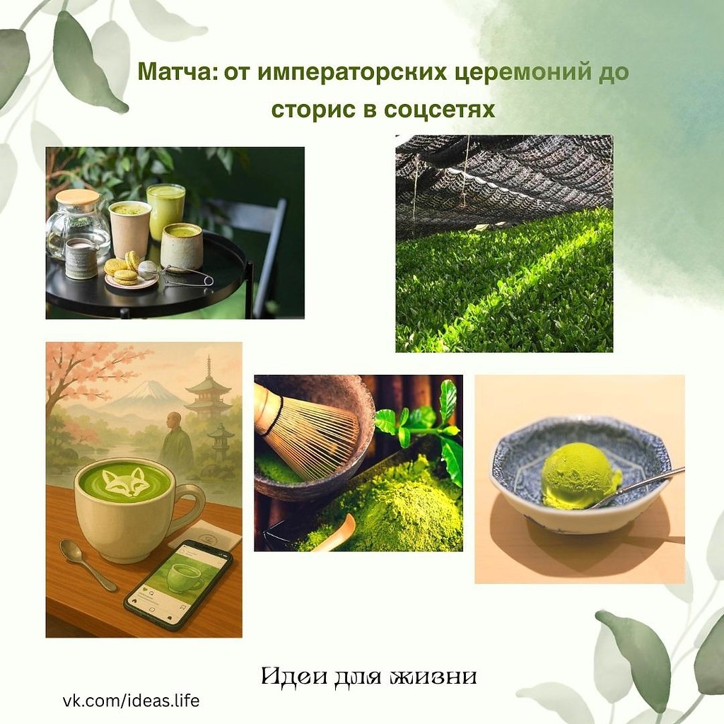 Если вы знаете, что такое матча и чем он полезен — поздравляем: вы живёте в ритме мировых трендов. ...