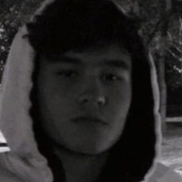 Musa, �����������, 20 ���