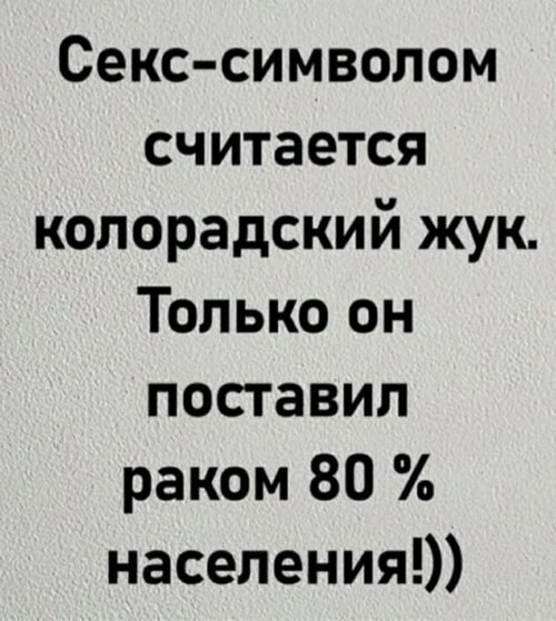   - 6  2025  12:02 - 2