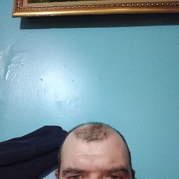 ���������, 44 ����, �����������