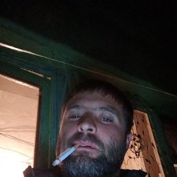 , 38, 