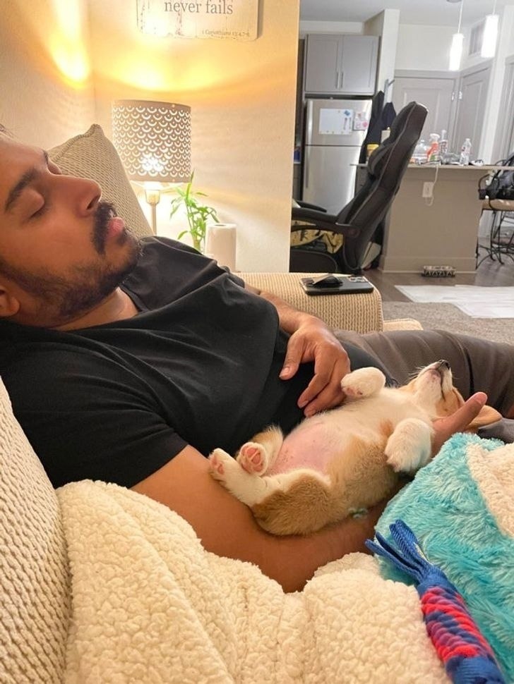 ������ ���� ������