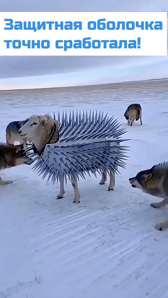 ������ ����� �������� ������������� ����� ������ � ����������� ������, ��� ��� �������� �� ��������� ...