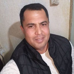 , 33, 