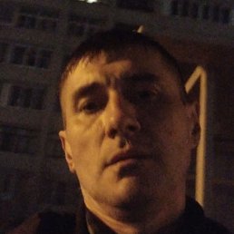 �����, �������, 43 ����