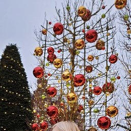 �������, ������, 50 ���