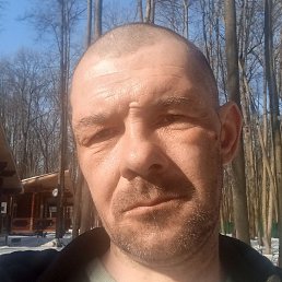 �����, ��������, 46 ���