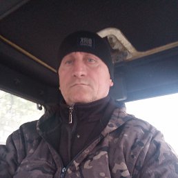 , 44, 