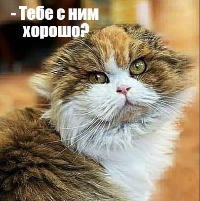 ��� ���� � ����� �� �� - 17 ����� 2026 � 21:30 - 3