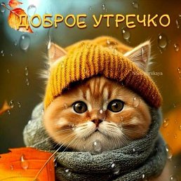 ���� �������, ������, 52 ���� - ��������� 13 ���� 2026