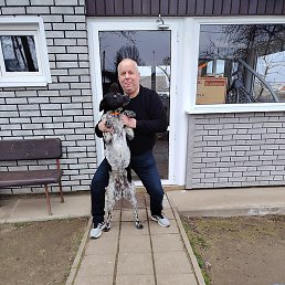 ������, �����, 55 ���