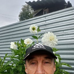 , 61 , 