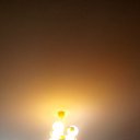 ���� ����, ������, 52 ���� - ��������� 16 ���� 2024 � ������ ���� ����������