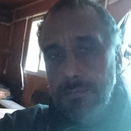 ������, �������, 51 ���