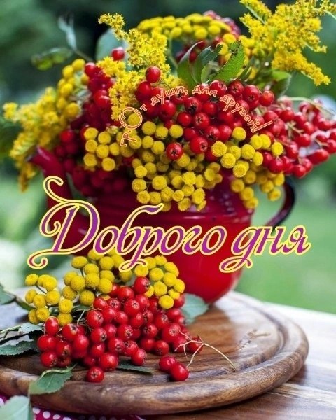   ,    . - 21  2025  14:46