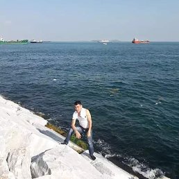 �����, ������, 43 ����