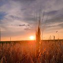 ���� �������, ������������ - ��������� 25 �������� 2025