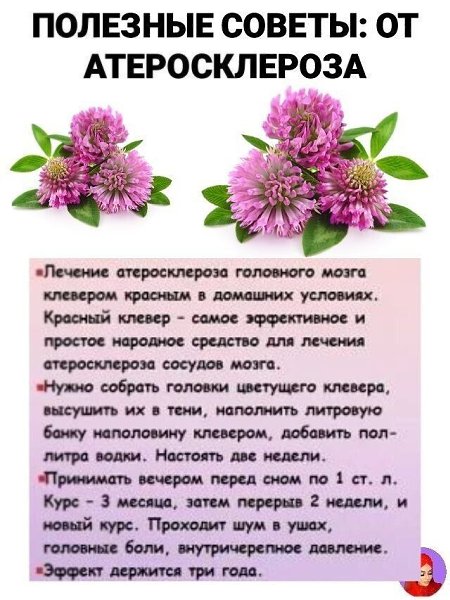    . - 17  2025  10:20