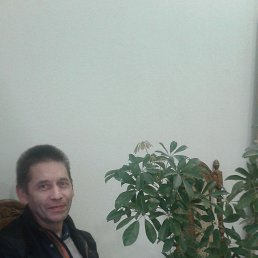 ���� �������� ������, ������, 62 ���� - ��������� 15 ������ 2025