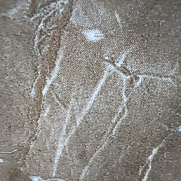 �����, ������ ��������, 47 ���