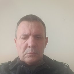  , 61 , 