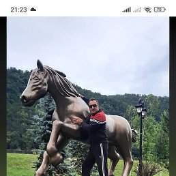 �������, ������, 50 ���
