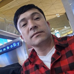 , 33, -