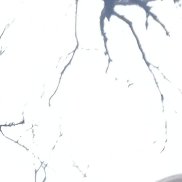 ��������, 42 ����, ������