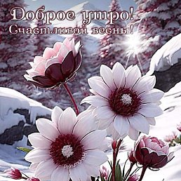 ��������, �������������, 38 ���