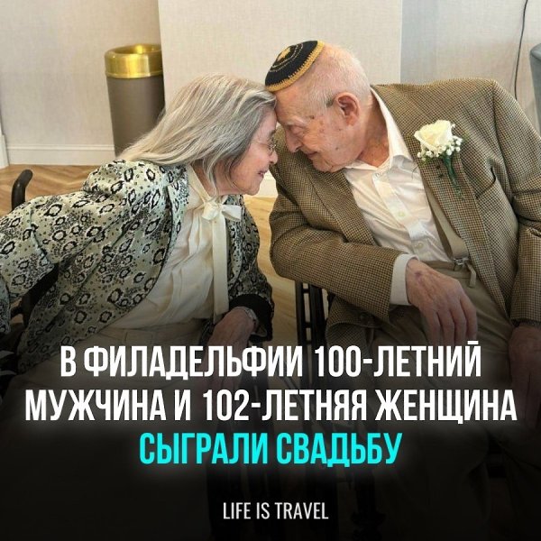 ���������� ����� ������� � �������� ��������, ������������ ������ ��� ����� � ���� �����������, ...