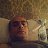  David, , 41  -  22  2025