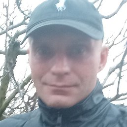 ������, ���������, 37 ���