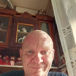 , 41, 