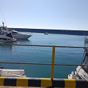 ���� ��������, ����, 53 ���� - ��������� 29 ������� 2024 � ������ ���� ����������