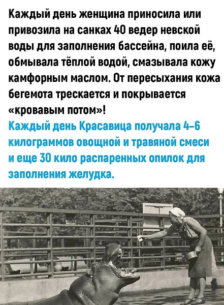 Сейчас почти все сытые сидят и думают: